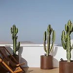 Canaryislandshost I Natural * Famara
