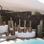 Canaryislandshost I Natural