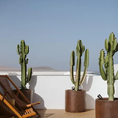 Canaryislandshost I Natural * פאמארה